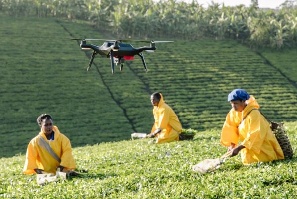 digitalize business in Uganda Kenya